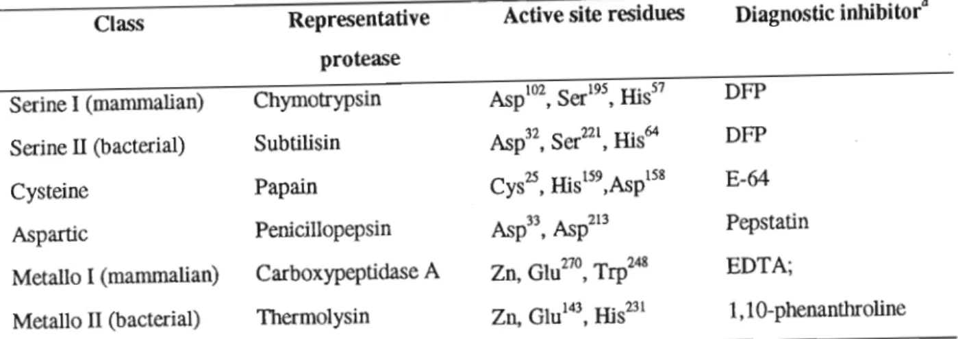 Table 1-1. The four currently recognised classes of proteases. (After Barrett, 1994).