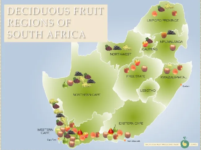 Figure 2.2 South Africa’s Major Deciduous Fruit Producing Areas  Source: DFPT, 2008 