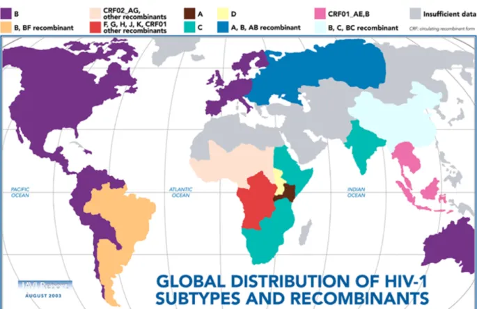Figure 5.  The global spread of HIV-1 subtypes and CRFs (Peeters, 2000). 