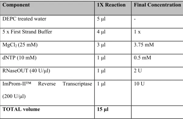 Table 1.   Enzyme Mix used for Reverse Transcription.  