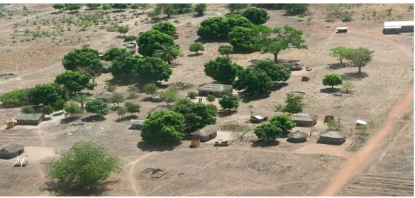 Figure 4.5: A village in CAR 