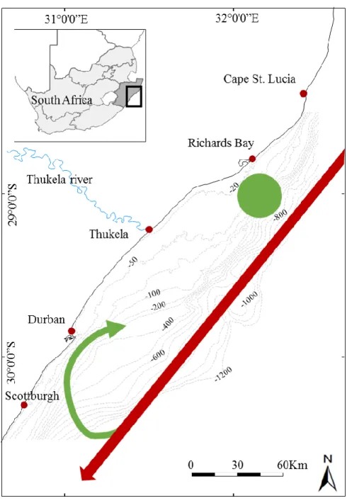 Figure 1. KwaZulu-Natal Bight showing bathymetry and major oceanographic features. Red  arrow = Agulhas Current; green arrow = Durban eddy, green dot = Richards Bay upwelling