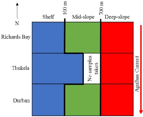 Figure  5.  Conceptual  spatial  model  categorising  sampling  stations  for  larval  fishes  in  the  KwaZulu-Natal Bight