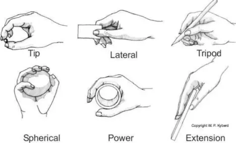 Figure 6-1. Grip patterns as identified in the Southampton Hand Assessment Procedure  (SHAP)