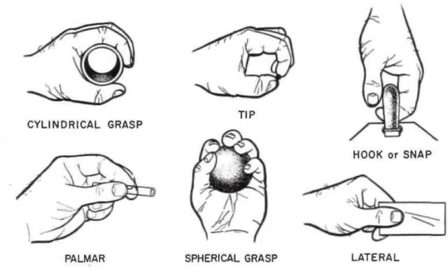 Figure  1-7  (Schlesinger,  1919)  shows  the  various  types  of  grasp  :power  grips  –  cylindrical,  hook, spherical grasp; precision grips; tip,palmar and lateral