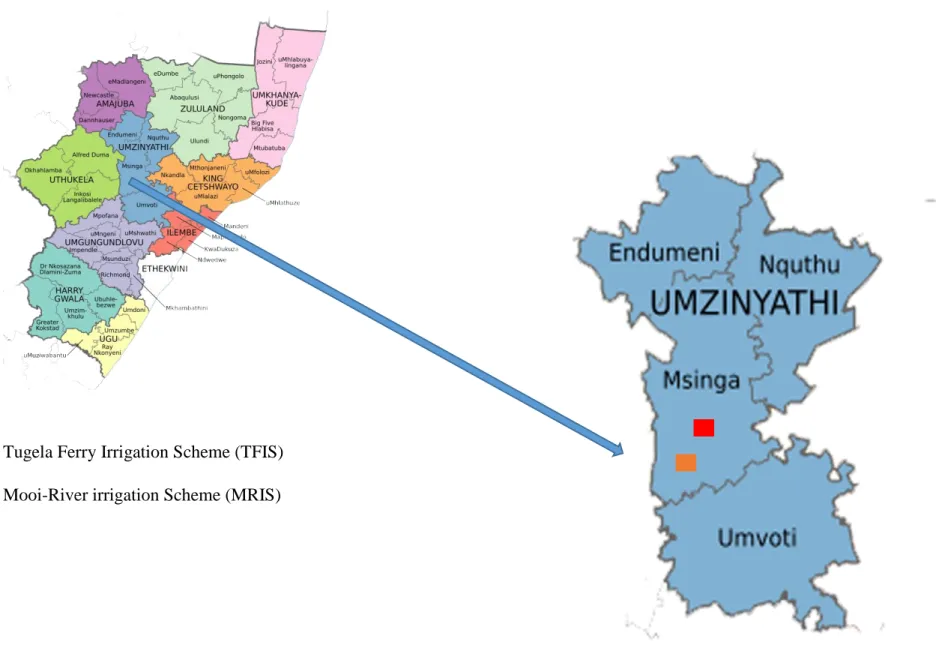 Figure 3.1 Study sites location within KwaZulu-Natal province (Source: Google).