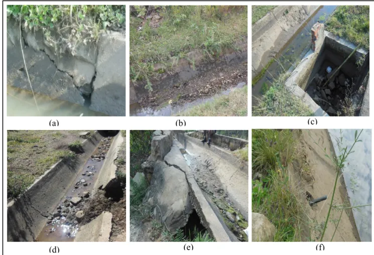 Figure 3.11 Example of canal condition along the scheme, (a) vertical crack (MRIS) (b)  debris filled canal (TFIS), (c) malfunctioning sluice gate (MRIS), (d) collapsed  canal  wall (TFIS), (e) damaged  embankment  (MRIS),  (f) illegal  connection  for abs
