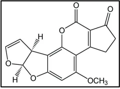 Figure 2.4 : The chemical structure of aflatoxin B 1  (C 17 H 12 O 6 ) (Hedström and Mattiasson, 2015)