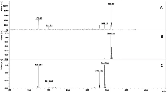 Mass spectrometric imaging for Tuberculosis drug development.