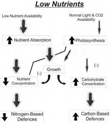 Fig.  1b :  Effect  of  low  nutrient  levels  on  plant  growth  and  defence  allocation  (Bryant  et  al