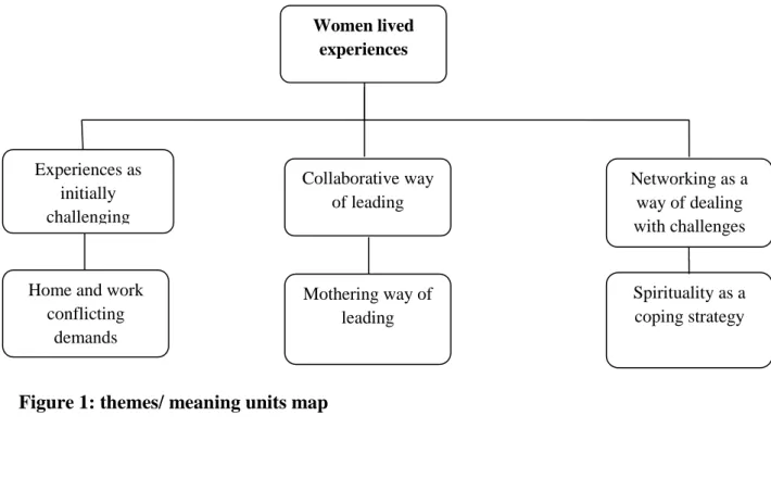 Figure 1: themes/ meaning units map 