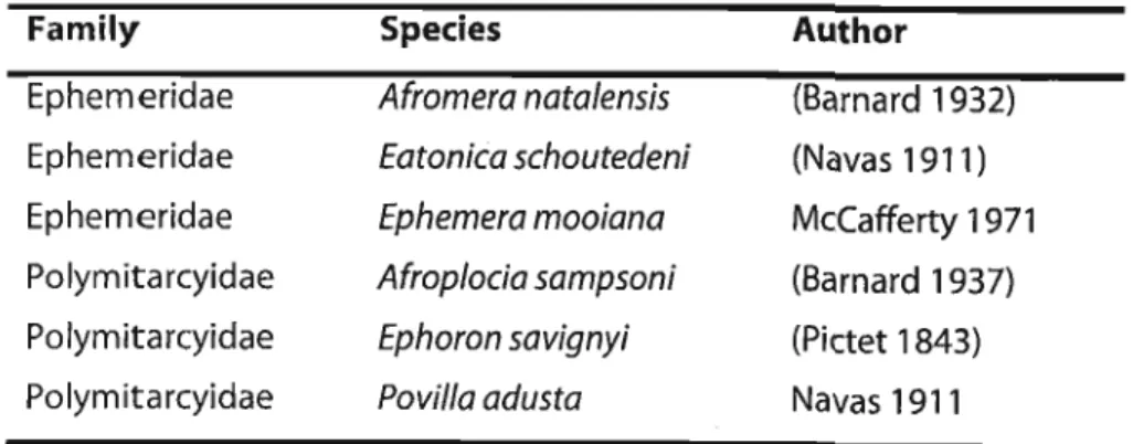 TABLE 1: The six species of burrowing mayfly recorded from South Africa to March 2000 and the authority of the adult stage of each species.
