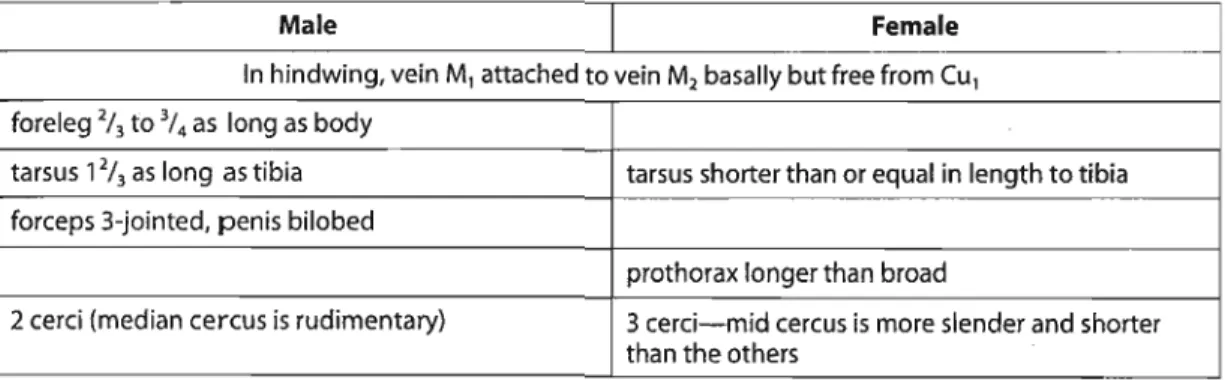 TABLE 2: Key features of adult specimens of Eatonica schoutedeni (adapted from BARNARD 1932,