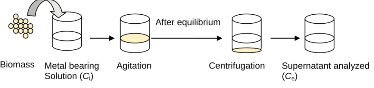 Fig. 1.3. Schematic diagram of batch biosorption experimental procedure. C i  and C e  are the initial  and equilibrium metal ion concentrations (mg L -1 ), respectively