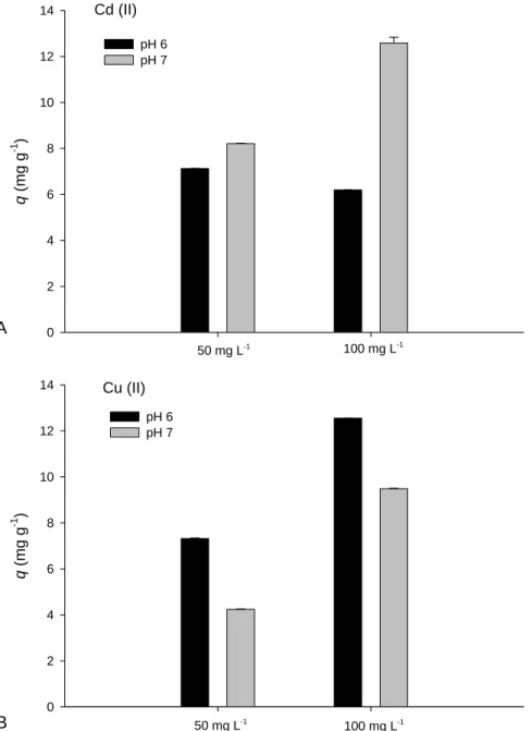 Fig. 3.6. Biosorption of Cd(II) (A) or Cu(II) (B) in mixed metal (Cd + Cu) system by  non-viable GM 16 biomass at 40  o C