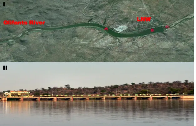 Figure 1.2: I- Satellite image of the Phalaborwa Barrage with the three sampling sites  (water and sediment); I - inflow, B - wall and C –below wall