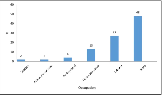 Figure 5.2: Respondent occupation (n=270, in %) 