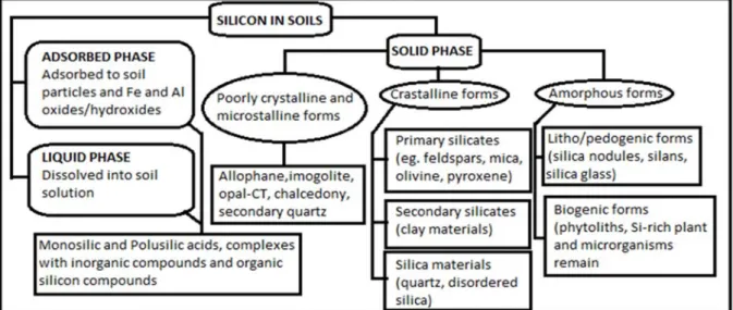 Figure 1.1: Different fractions of Si in soils (Tubana and Heckman, 2015). 