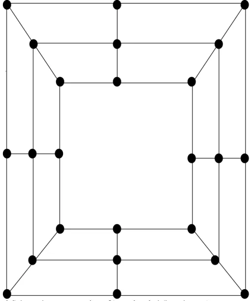 Figure 3 Schematic representation of ‘morabaraba’ (board game) 