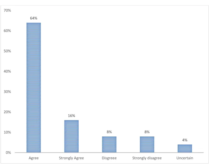 Figure 1.3: Poor Leadership and service delivery  