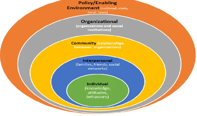 Figure 1.1:  Socio-Ecological Model levels 