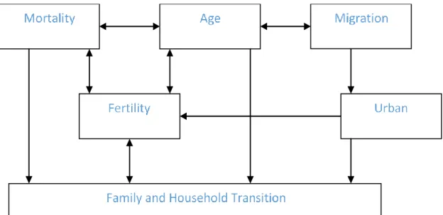 Figure 2.1: The transitions that comprise the impact of demographic transitions on society  