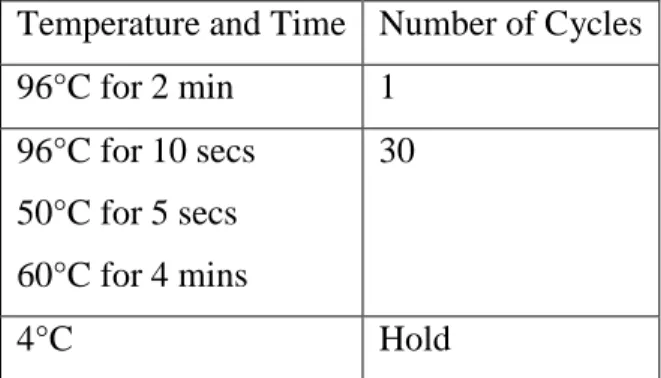 Table 2: The Cycling Conditions for sequencing of L4 and L22 of C. trachomatis. 