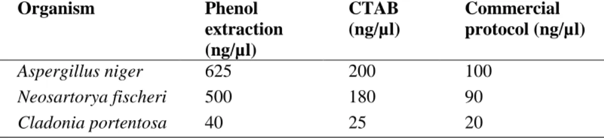 Table  2.4:  Comparison  of  DNA  extracted  from  Cladonia  portentosa  by  by  commercial  kits  and  traditional  protocols