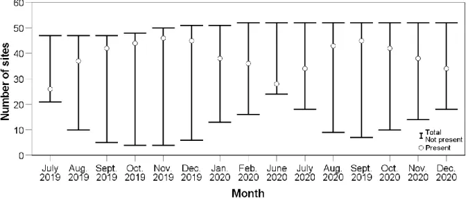 Fig.  3.3  Number  of  sites  with  Spotted  Thick-knees  ‘present’  or  ‘not  present’  in  the  present  study, relative to all site locations visited for each month