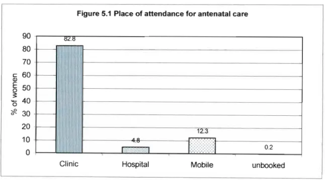 Figure 5.1  Place of attendance for antenatal care 
