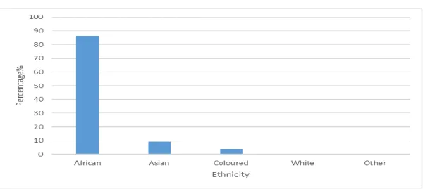 Figure 2: Ethnicity Representation  