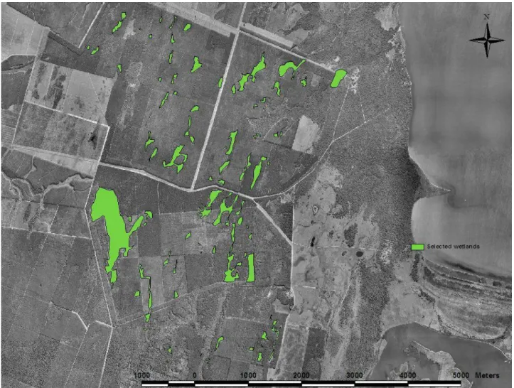 2  Figure 3.2  Aerial photograph of the study area and the wetlands used for the buffer