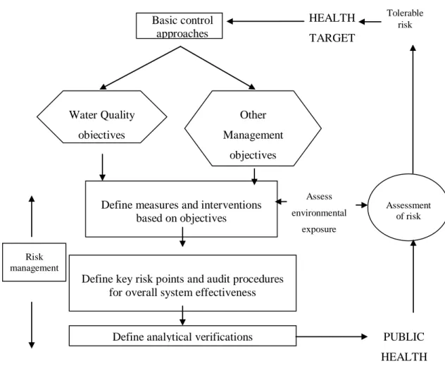 Figure 1.2: Flowchart of risk management adapted from WHO, 2006a 