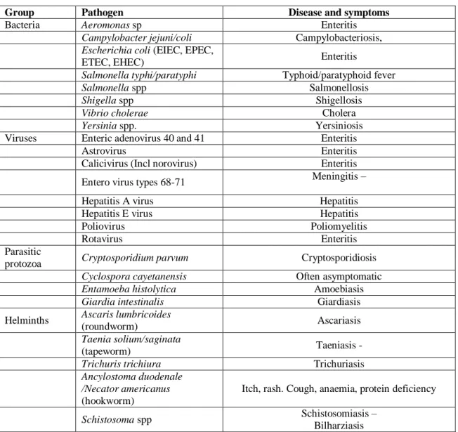 Table  1.3:  Pathogens  that  may  be  excreted  in  faeces  along  with  their  related  diseases