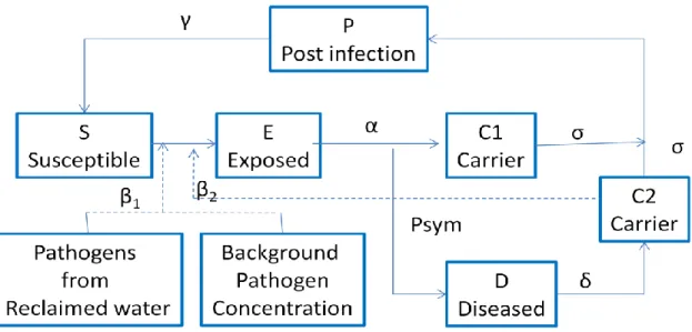 Figure 1.3: Dynamic risk assessment conceptual model from Roesner et al., 2006 