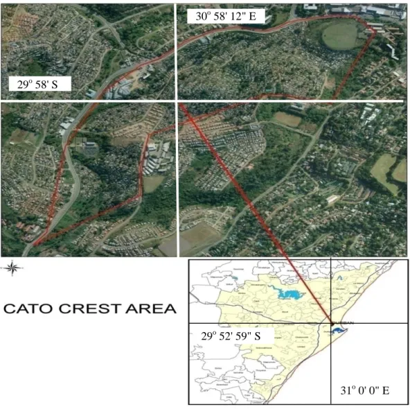 Figure 2.1: Location of the Cato Crest sampling site. (eThekwini Water and Sanitation,  GIS Department) 
