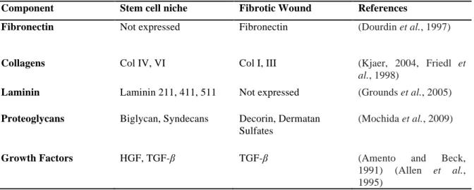 Table 1.2: Comparison of components found within the satellite cell niche and those found in a fibrotic  wound