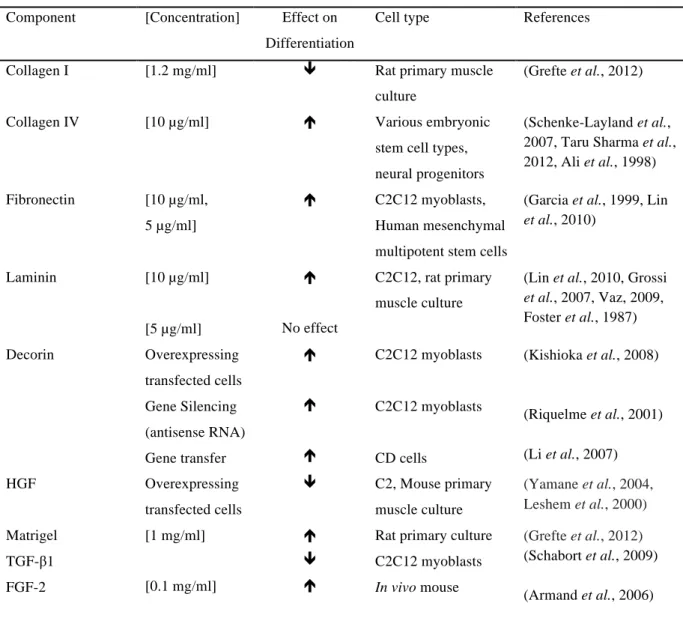 Table 1.3: The known effects of various ECM and growth factors on stem cell differentiation
