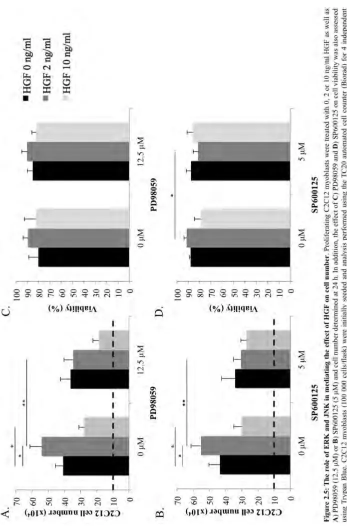 Figure 2.5: The role of ERK and JNK in mediating the effect of HGF on cell number. 