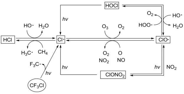 Figure 2-3. Catalytic process instrumental in the depletion of the ozone layer (Kirsch, 2004) 
