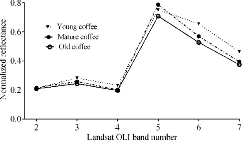 Figure 3.2: Mean reflectance of the coffee classes for the Landsat 8 OLI bands. 