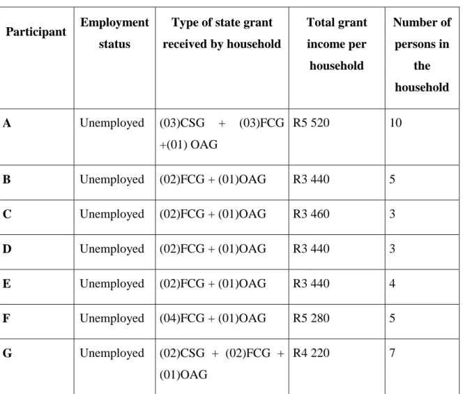 Table  5.2:  Participants’  Income  (State  Support)  and  Total  Number  of  Persons  in  the  Household 