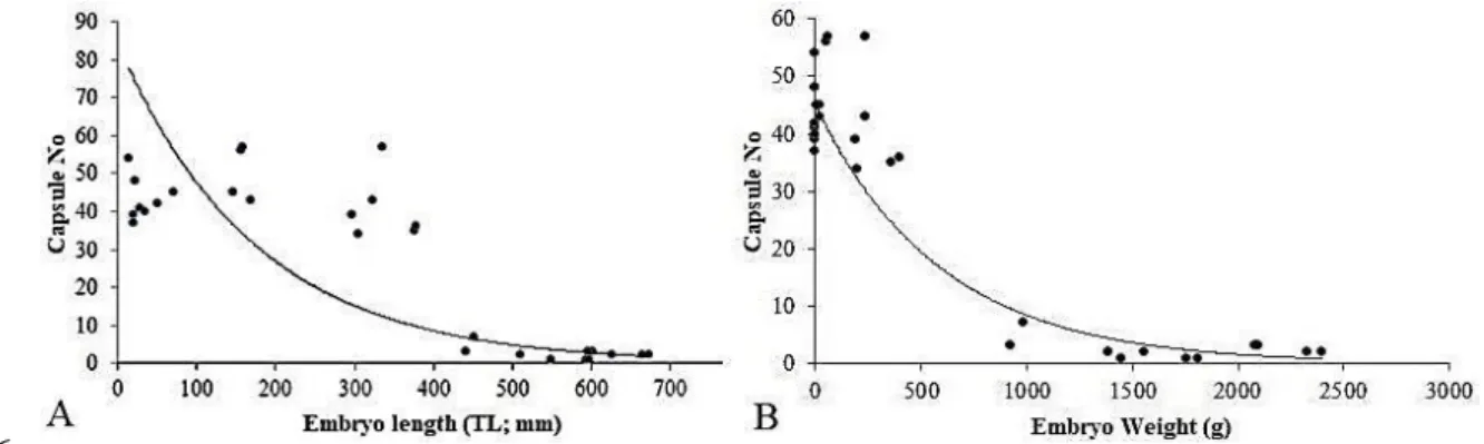 table  indicates  a  discrepancy  in  1)   *   the  ratio  count  of  capsules  to  females  and  2)   #1452 