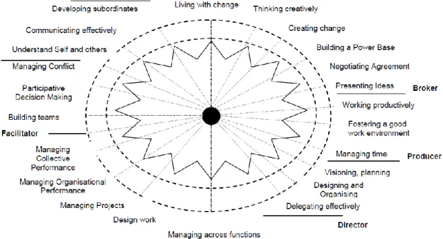 Figure 2.1: Generic leadership roles in organisations 