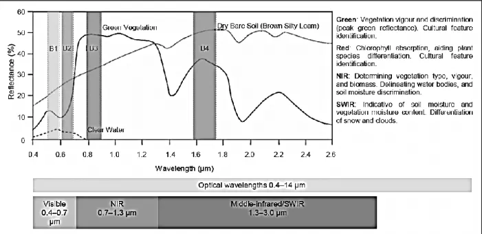 Figure 1: Spectral responses of common materials (Source: Clark, 2010) 