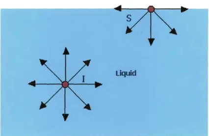 Figure 1.3.d: Forces Acting on Water Molecules 