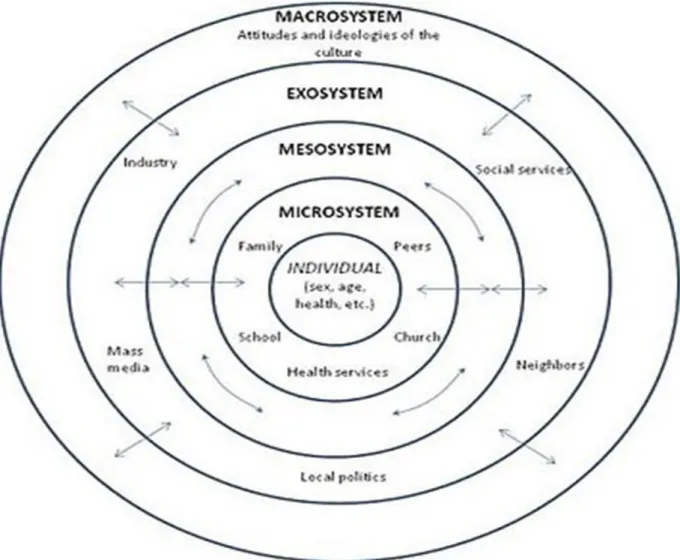 Figure 1.1: The ecological systems approach    