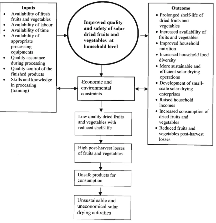 Figure 1.1: Conceptual framework