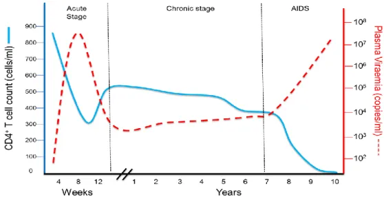 Figure 1.3 Clinical course of HIV Infection. Blue line = CD4 +  T cell count, dotted red line = viral  load