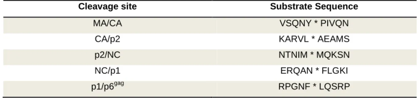 Table 1.1 Consensus sequences for 5 Gag cleavage sites of HIV-1 subtype C. 